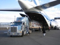 Перевозка тяжеловесных грузов различными видами транспорта