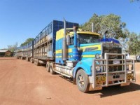 Контейнерные грузоперевозки по России