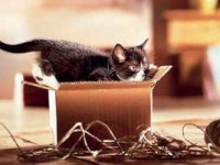 Переезд на новое местожительства