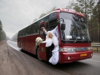 Заказ автобусов для свадьбы.